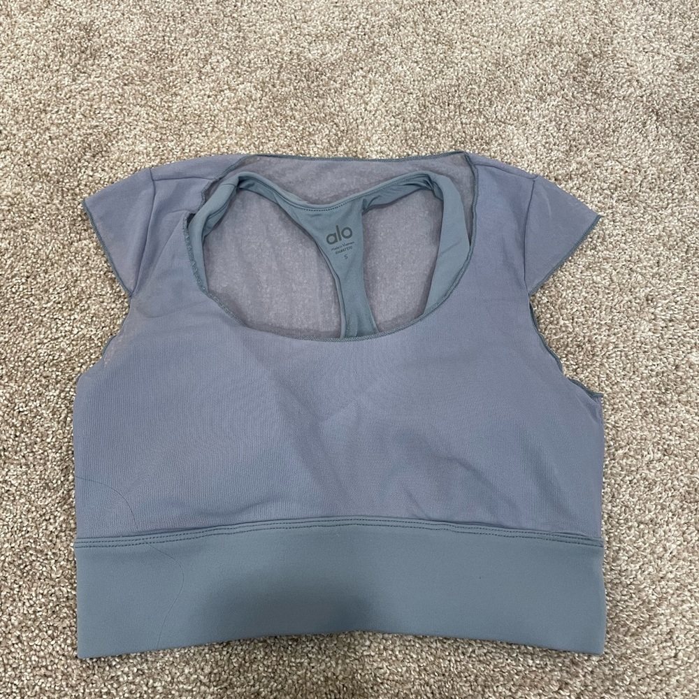 Alo yoga dusty blue crop top/bra